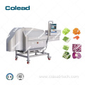 V type Stainless Steel Cutting Machine for celery